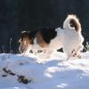 ruhpolding03 092.jpg